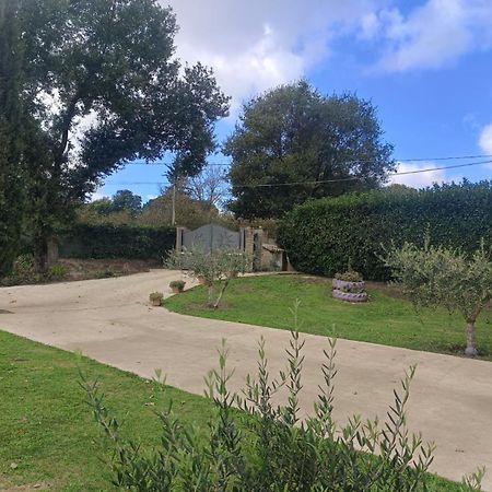 Tenuta Quadrone Cura di Vetralla Exteriér fotografie