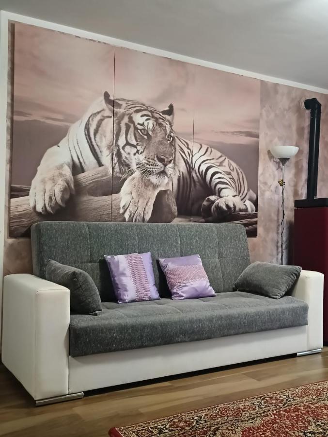 Tenuta Quadrone Cura di Vetralla Exteriér fotografie