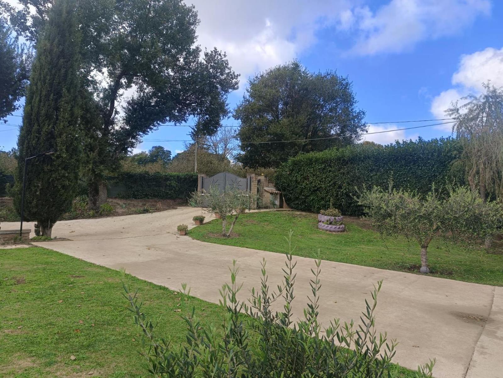 Tenuta Quadrone Cura di Vetralla Exteriér fotografie